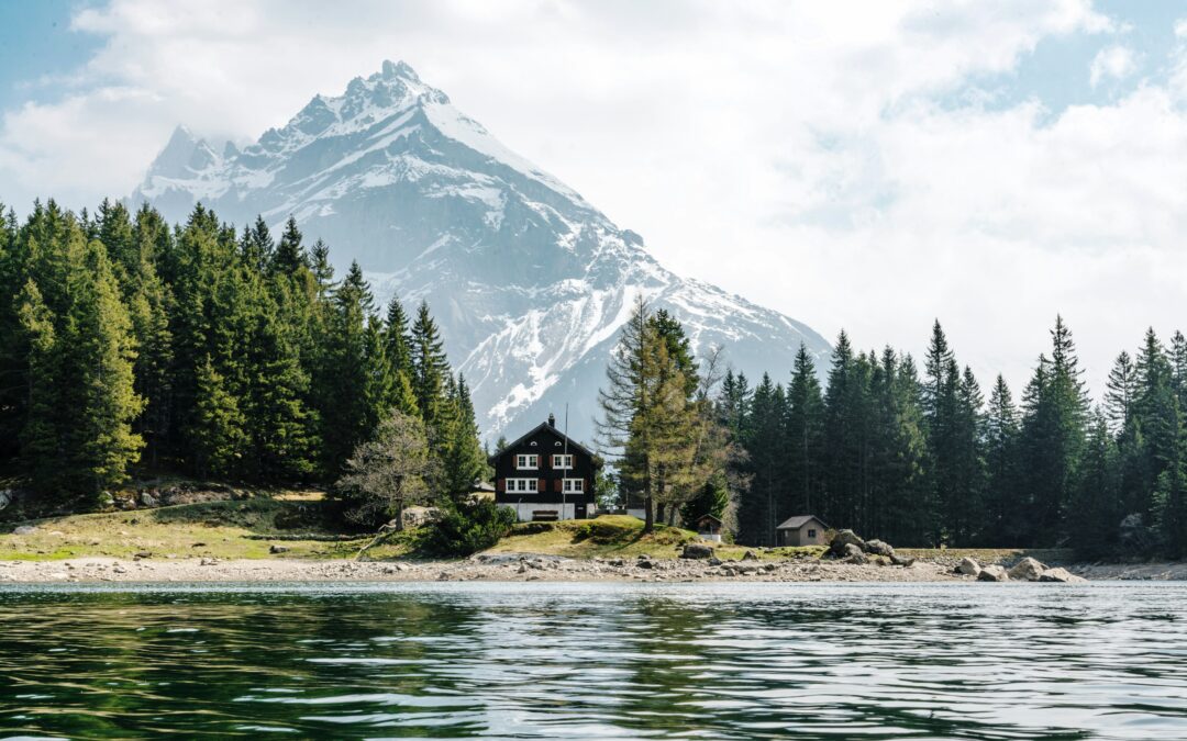 Die Tradition der Zuckerrüben in der Schweiz