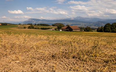 Futtermittelbeschaffung 2026: Die Versorgungslage in der Schweiz wird schwieriger